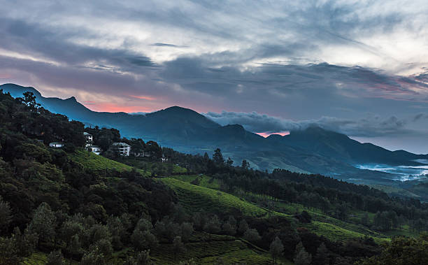  Munnar Alleppey Tour Package